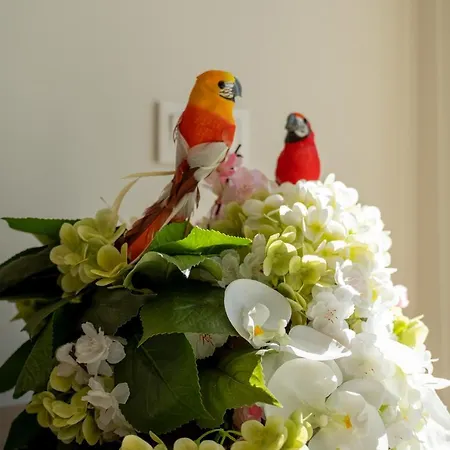 Appartement Sublime Coliseum